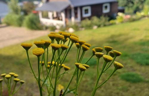 Cicha przystań domek na Kaszubach - Foto 62