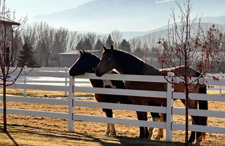 Studio Pool House by Xquisite Rentals - Photo 20