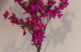 RED Passion Love room near Disney - Foto 35