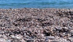 NEW PANORAMA - Foto 3