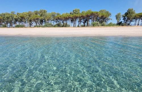 Residence Piazzetta a Mare - Photo 5