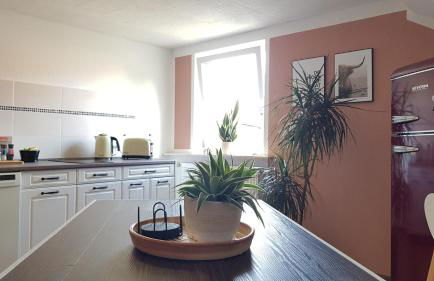 Ferienwohnung Malu Sol im Harz - stilvoll, gemütlich, tierfreundlich - mit Garten - Foto 7