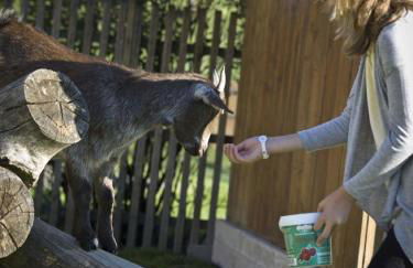 Ferienhof "Schoppa-Haisl" - Foto 16