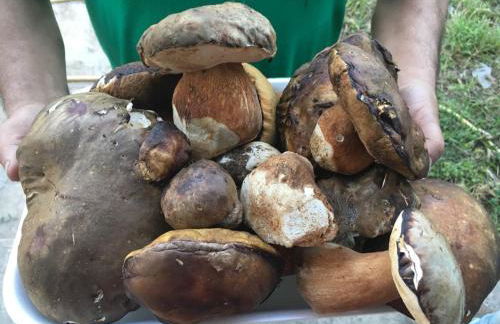 Sogno Sulcitano Masainas - Foto 61