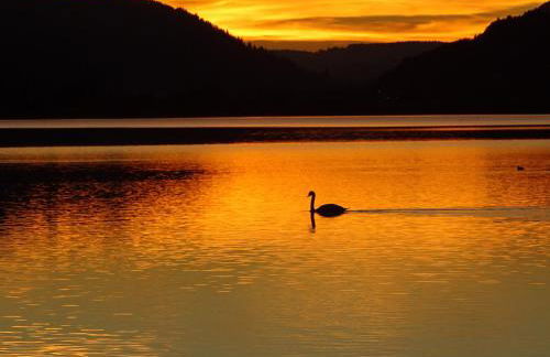 Top! Wohnung direkt am Fuß der Berge im Oberallgäu - Foto 18