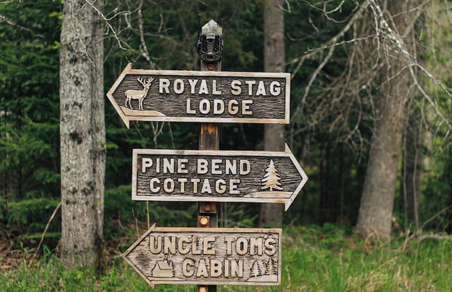 Grayling Gem Royal Stag Lodge - Foto 47