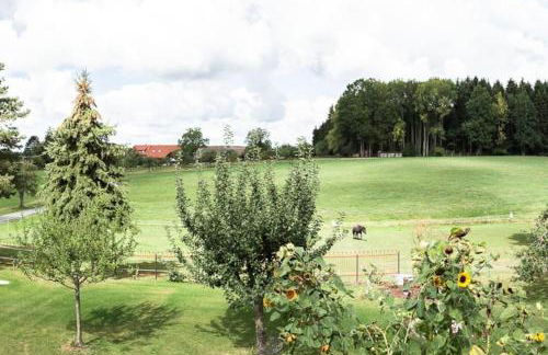 Naturidyl Schneckenbuch - Foto 12