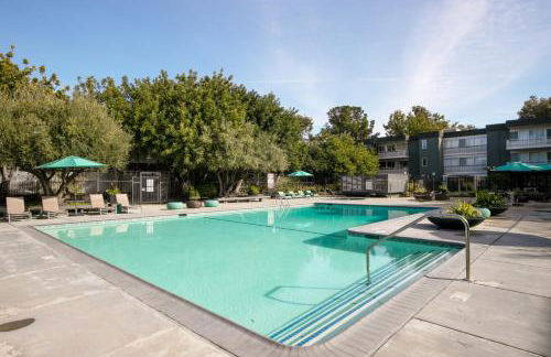 Sunnyvale 1BR w Pool Gym WD 10 min to Target SFO-816 - Foto 19