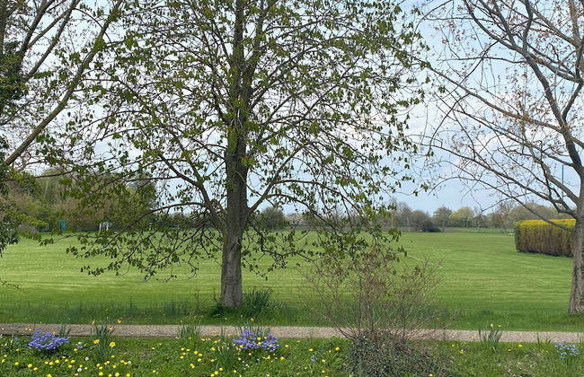 Oxfordshire Village Cottage With Private Garden - Foto 11