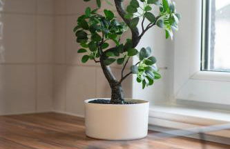 2 Bedroom Apartment-Free Parking-by Holiday Homes - Foto 24