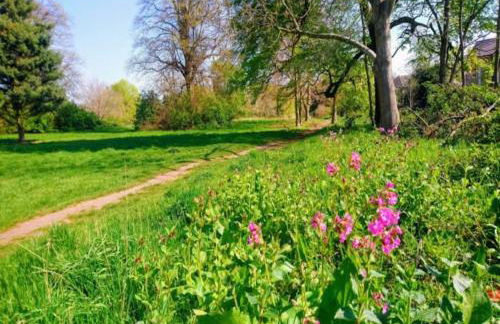 Castle Gate by Spa Town Property - Central Location with Large Living Space - Foto 38