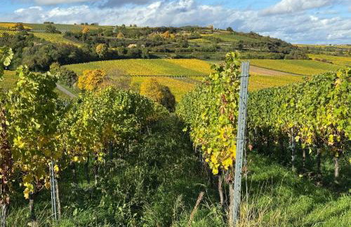 Die "Alte Schmelz"- Boutique-Landhotel & Restaurant - Foto 63