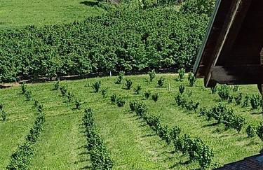 Vite diPinte 1 bilocale in langa - Foto 27