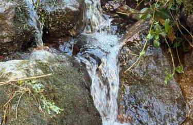 Apartamentos El Caxigu - Foto 7