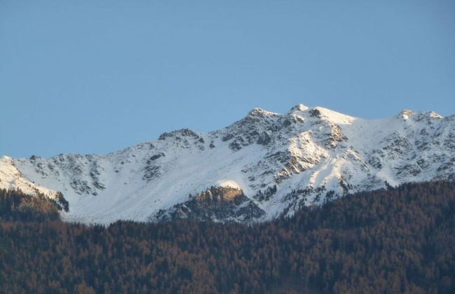 Holiday Apartment Kleinlehenhof - Photo 18