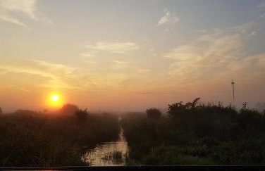 Zdalnie z Lasu - Siedlisko w Puszczy Białowieskiej - Foto 36