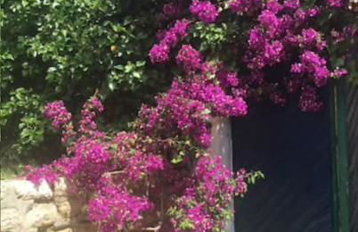 Casa Molera - Foto 33