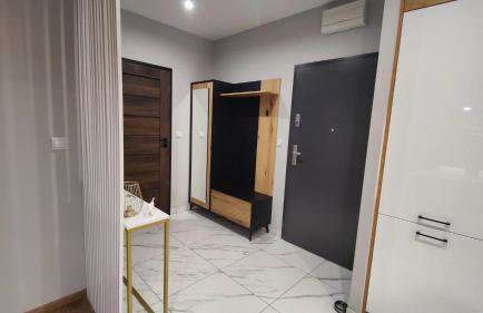 Apartament przy Parku Śląskim - Foto 12