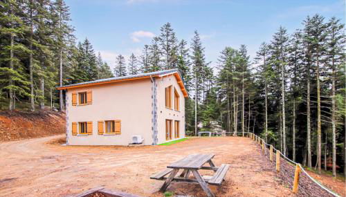 3 Bedroom Nice Home In Chambon-Sur-Lignon - Photo 1