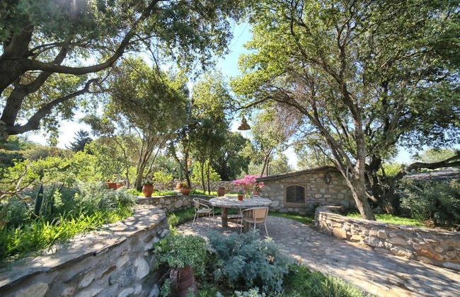 Captain Ikaros - Foto 50