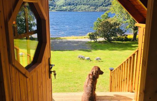 Seal Point Cabin - Luxury Glamping - Foto 19