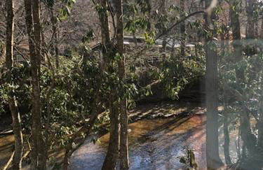 River Run Cottage Modern 2BR Waterfront Retreat in Linville Land Harbor - Foto 6