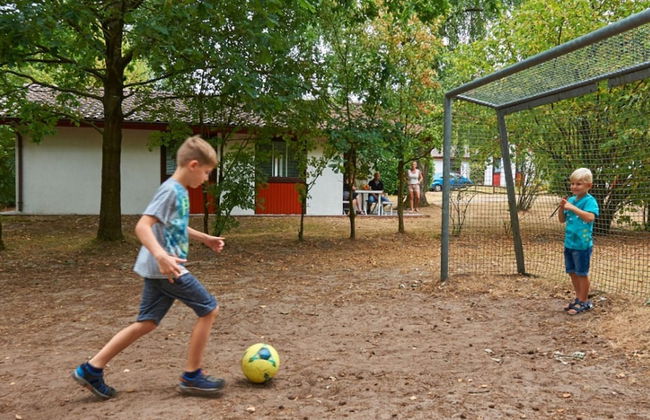 Comfort Sauna 4p in Uelsen - Foto 34