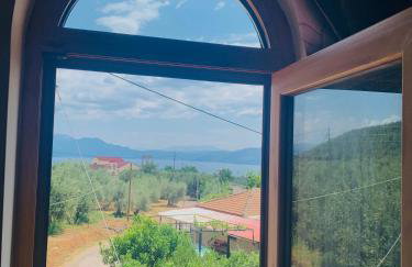 BOKAS EXOTIC HOUSE - Foto 9