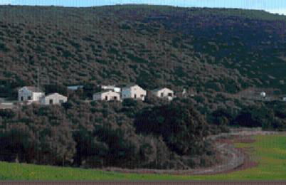 Casas Rurales Cortijo la Cañada - Photo 45