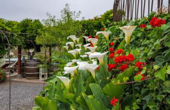 Casa Jacinta con jacuzzi - Foto 29