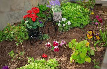 Stavrini's House - Photo 11