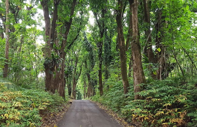 Hale Ki'i Maka Manu 4 Bedroom Home by RedAwning - Foto 39