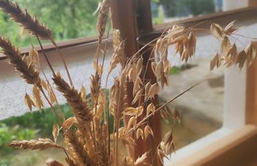 OIDE STUB'N am Grandsberg - Foto 12