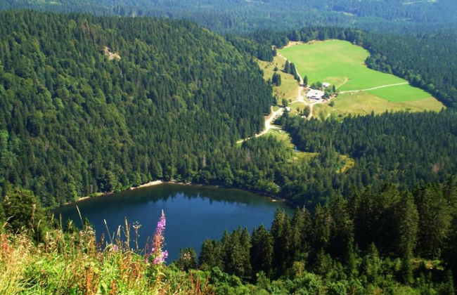 Lush Apartment in Furtwangen near Black Forest with Balcony - Foto 41