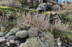 Seoska idila, Krivići - Foto 48