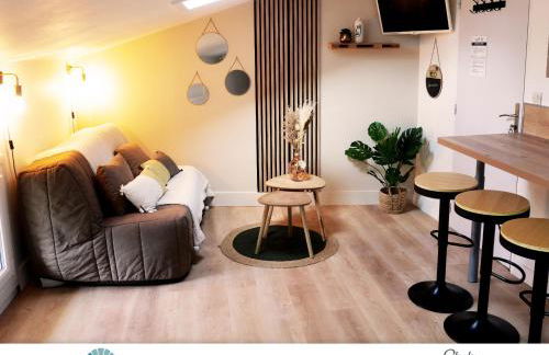 Locations du Grand Pont - Appart hôtel Poitiers - Futuroscope - Foto 20