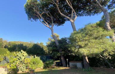 Tuscan seafront apartment with private access to sea - Foto 16