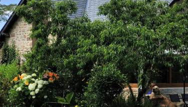 Gîte de France Le fournil 3 épis - Gîte de France 2 personnes MAE-6664 - Foto 5