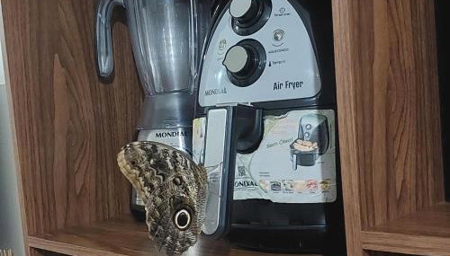 Casa aconchegante temporada - Foto 5