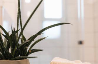 Gemütliches Nest in Rinkerode - Foto 7