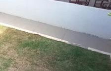 Casa suite - Photo 5