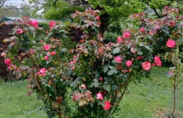 Teramo 1 - Vicino mare e monti - Foto 20