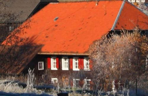 Black Forest farmhouse Bernau - Foto 1