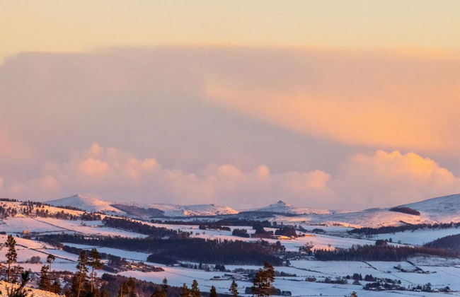 The Stables Cottage Aboyne Royal Deeside - Photo 41