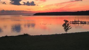 The Birds Nest - Photo 3