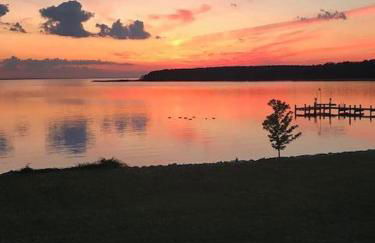 The Birds Nest - Foto 3