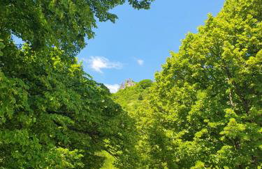 Holiday Home Modruš - Foto 64