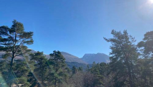 Solstice Cabin - Photo 2