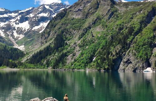 La Grange St. Cyprien, Venosc - Les Deux Alpes - Photo 45