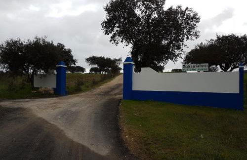 Monte das Galhanas - Foto 40